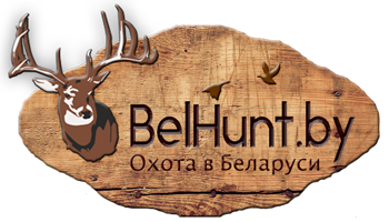 Сценарий праздник героев отечества